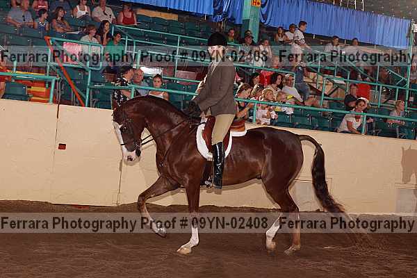 Proof 09yn-02408