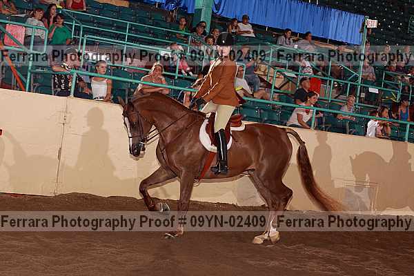 Proof 09yn-02409
