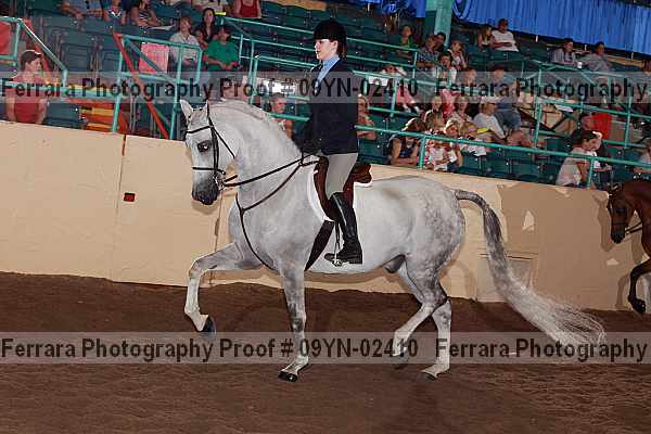 Proof 09yn-02410