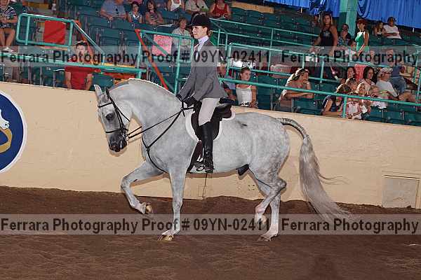 Proof 09yn-02411