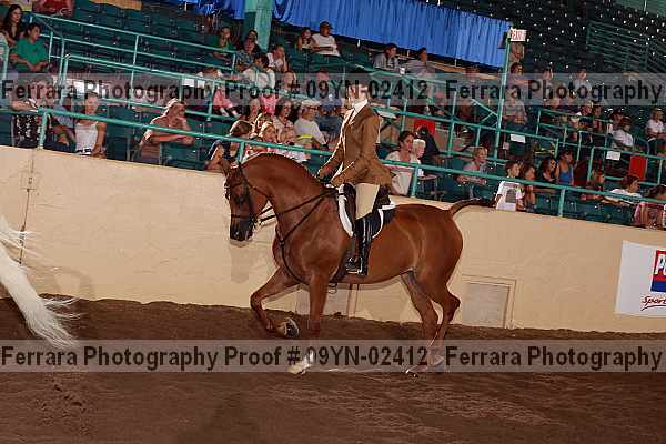 Proof 09yn-02412