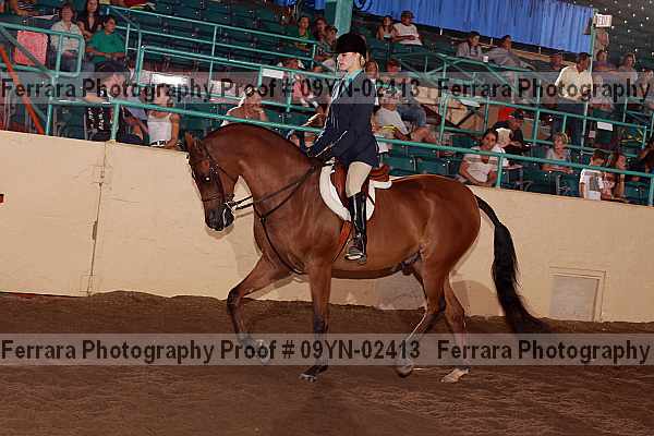 Proof 09yn-02413