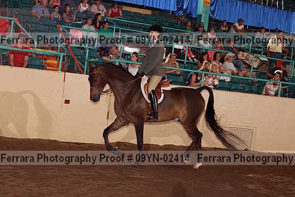 Proof 09yn-02414
