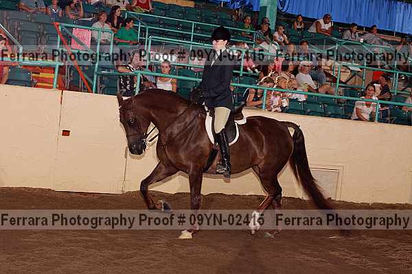 Proof 09yn-02415