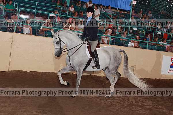 Proof 09yn-02417