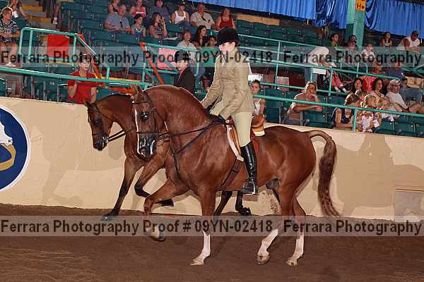 Proof 09yn-02418
