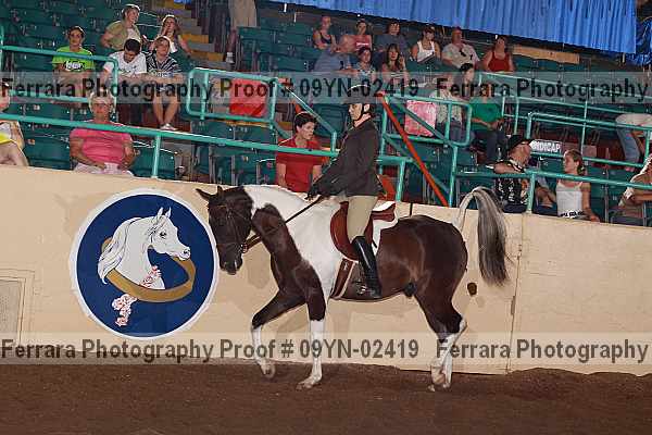 Proof 09yn-02419