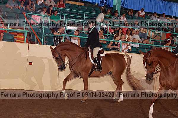 Proof 09yn-02420