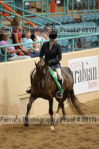 Proof 09yn-02425