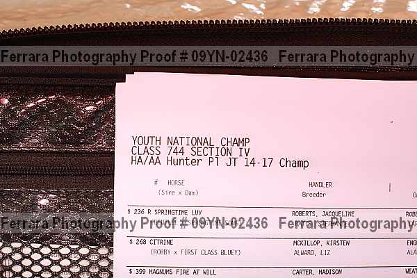Proof 09yn-02436