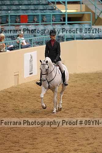 Proof 09yn-02438