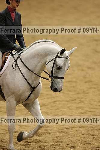 Proof 09yn-02439