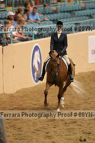 Proof 09yn-02440