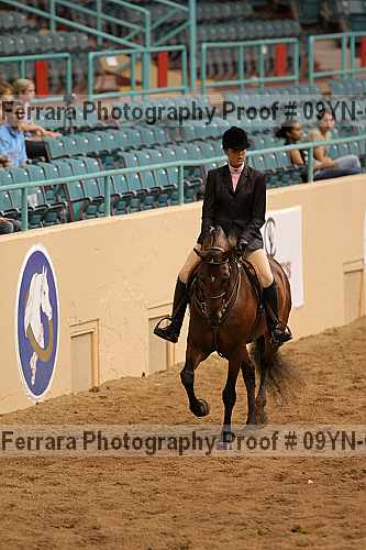 Proof 09yn-02441