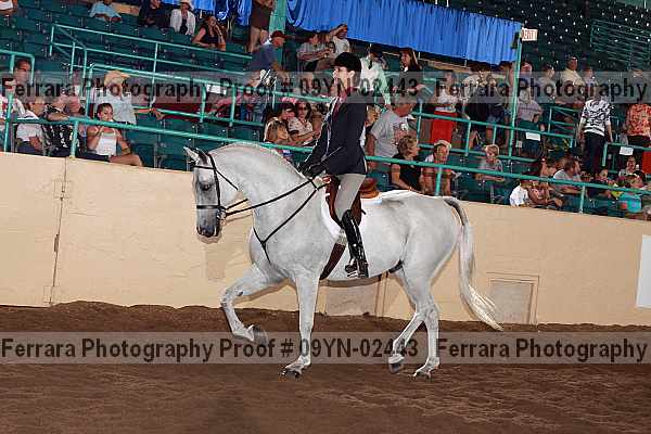 Proof 09yn-02443