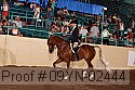 09yn-02444 proof