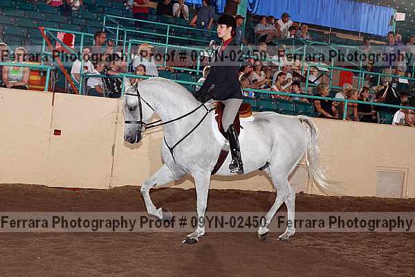 Proof 09yn-02450