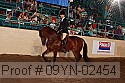09yn-02454 proof