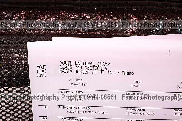 Proof 09yn-06581
