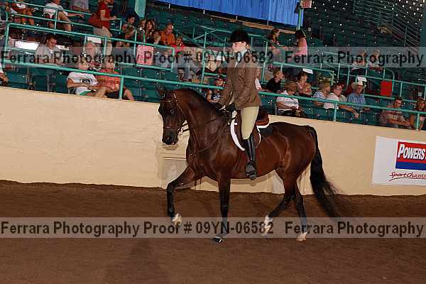 Proof 09yn-06582