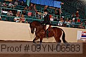 09yn-06583 proof