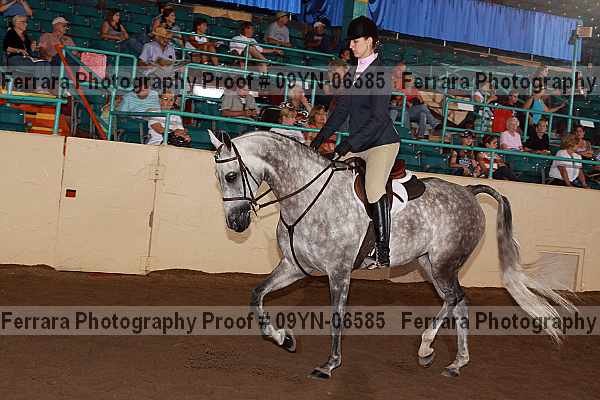 Proof 09yn-06585