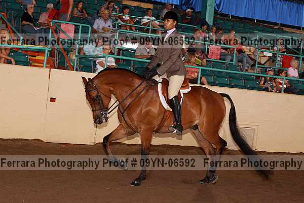 Proof 09yn-06592