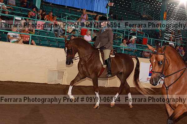 Proof 09yn-06594
