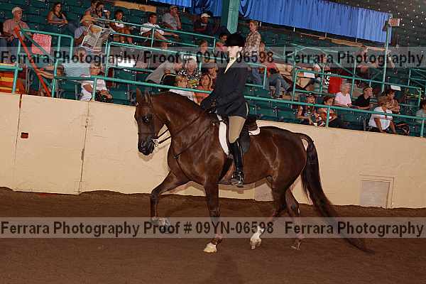 Proof 09yn-06598