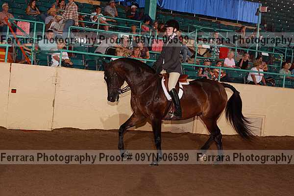 Proof 09yn-06599