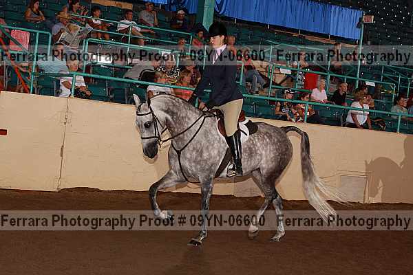 Proof 09yn-06600