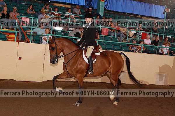 Proof 09yn-06602