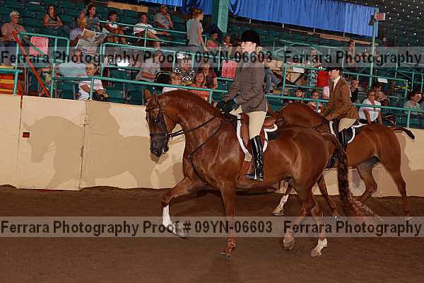 Proof 09yn-06603