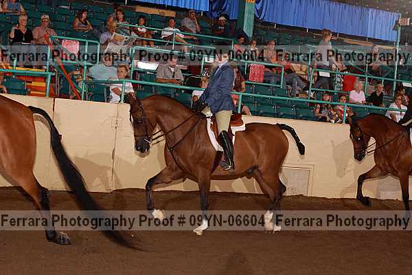 Proof 09yn-06604