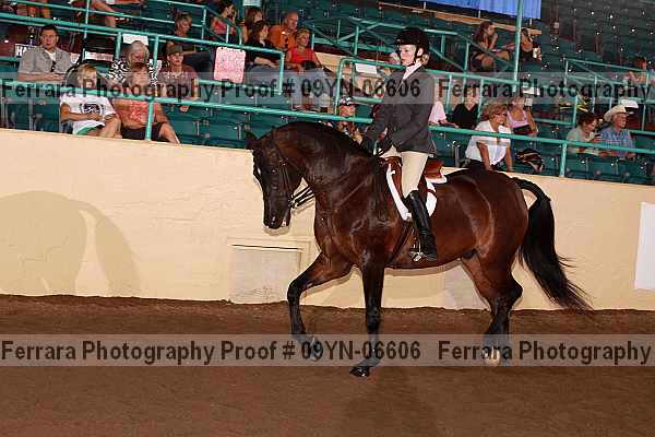 Proof 09yn-06606
