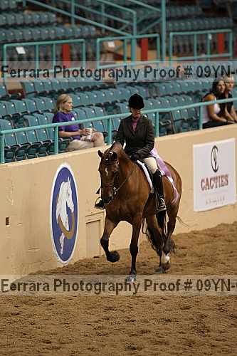 Proof 09yn-06607