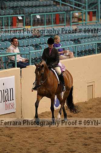 Proof 09yn-06608