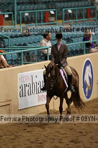 Proof 09yn-06609