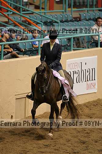 Proof 09yn-06610