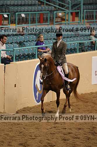 Proof 09yn-06615