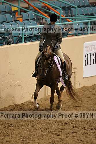 Proof 09yn-06619