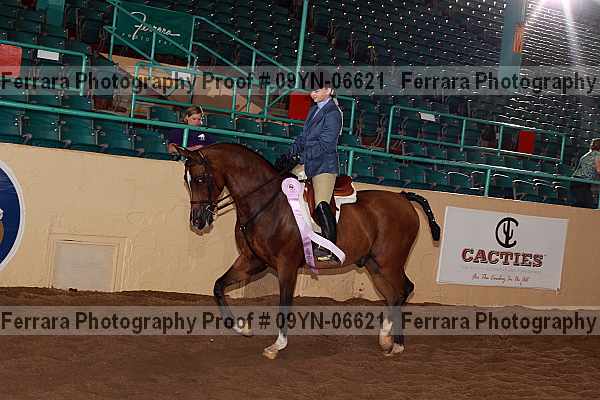 Proof 09yn-06621