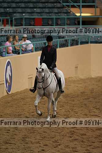 Proof 09yn-06624