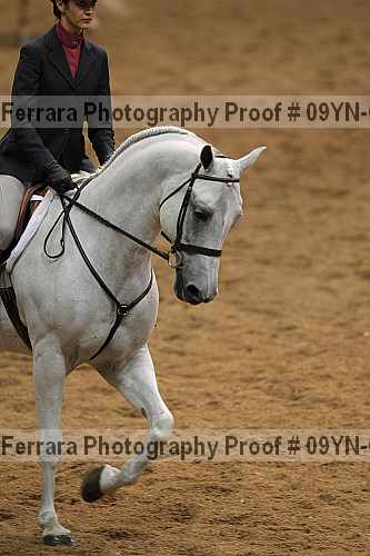 Proof 09yn-06626
