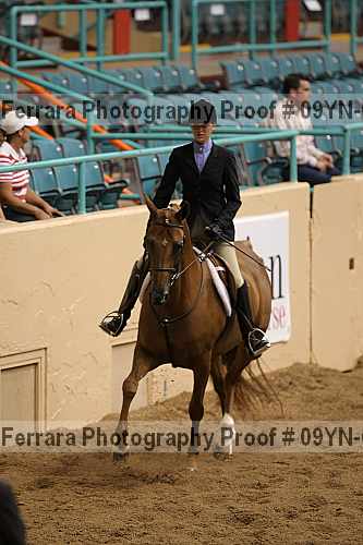 Proof 09yn-06627