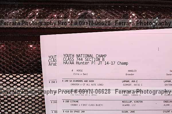 Proof 09yn-06628