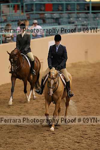 Proof 09yn-06630