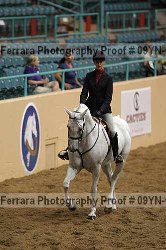 Proof 09yn-06632