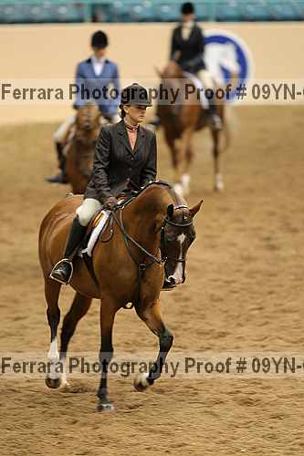Proof 09yn-06633
