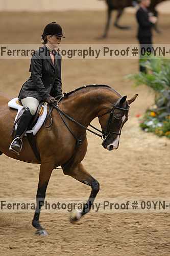 Proof 09yn-06634
